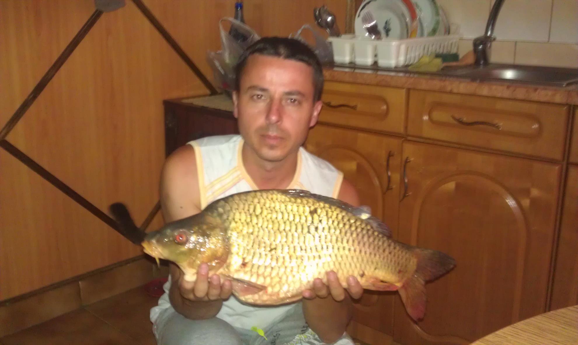 pescut la crap - imag0072.jpg